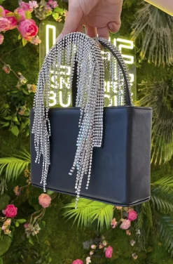 BOLSO CRISTALES CURIE
