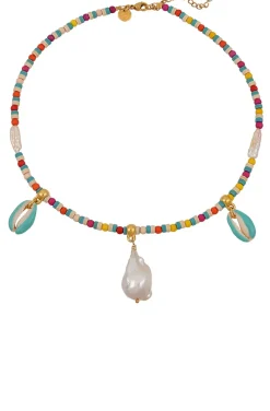 COLLAR THE BEACH