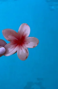 PINZA DEL PELO HAWAIANA CORAL