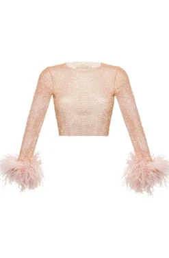 TOP DE CRISTALES Y PLUMAS ROSA