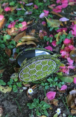 TURTLE CLUTCH